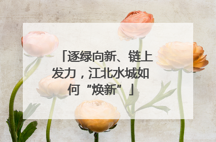 逐绿向新、链上发力，江北水城如何“焕新”
