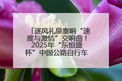 逐风礼泉奏响“速度与激情”交响曲！2025年“东恒盛杯”中国公路自行车联赛第五站（陕西·礼泉站）正式开赛