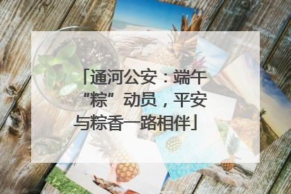 通河公安：端午“粽”动员，平安与粽香一路相伴