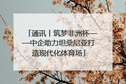 通讯丨筑梦非洲杯——中企助力坦桑尼亚打造现代化体育场