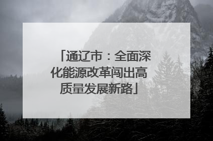 通辽市：全面深化能源改革闯出高质量发展新路