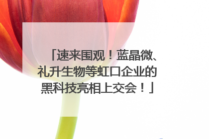 速来围观！蓝晶微、礼升生物等虹口企业的黑科技亮相上交会！
