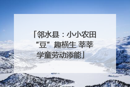 邻水县：小小农田“豆”趣横生 莘莘学童劳动添能