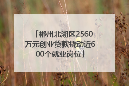 郴州北湖区2560万元创业贷款撬动近600个就业岗位