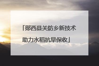 郧西县关防乡新技术助力水稻抗旱保收