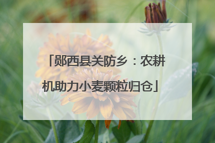 郧西县关防乡：农耕机助力小麦颗粒归仓