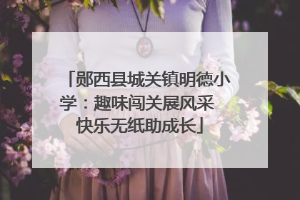 郧西县城关镇明德小学：趣味闯关展风采 快乐无纸助成长