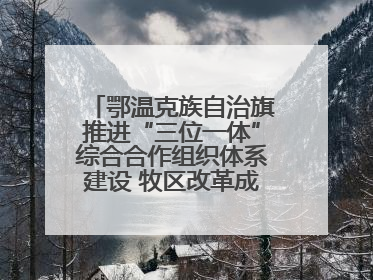 鄂温克族自治旗推进“三位一体”综合合作组织体系建设 牧区改革成果丰硕