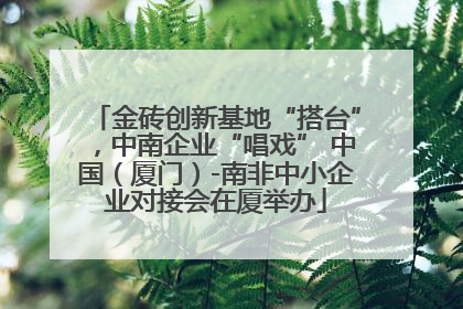 金砖创新基地“搭台”，中南企业“唱戏” 中国（厦门）-南非中小企业对接会在厦举办