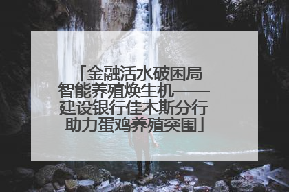 金融活水破困局 智能养殖焕生机——建设银行佳木斯分行助力蛋鸡养殖突围