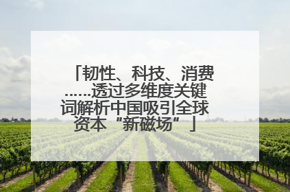 韧性、科技、消费……透过多维度关键词解析中国吸引全球资本“新磁场”
