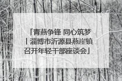 青燕争锋 同心筑梦丨淄博市沂源县燕崖镇召开年轻干部座谈会