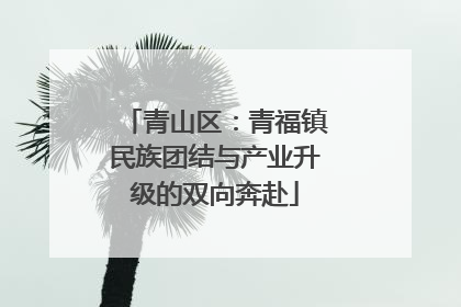 青山区：青福镇民族团结与产业升级的双向奔赴