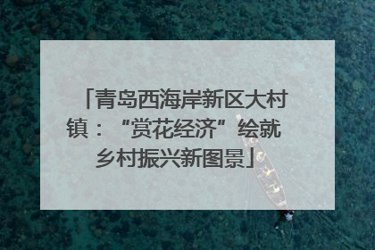 青岛西海岸新区大村镇：“赏花经济”绘就乡村振兴新图景