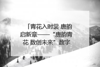 青花入时裳 唐韵启新章——“唐韵青花 数创未来”数字文创设计大赛启幕