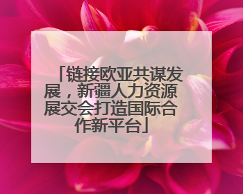 链接欧亚共谋发展，新疆人力资源展交会打造国际合作新平台
