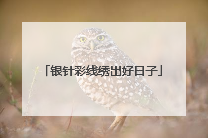 银针彩线绣出好日子