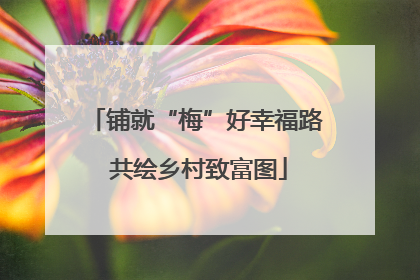 铺就“梅”好幸福路 共绘乡村致富图