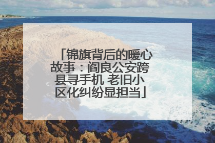 锦旗背后的暖心故事：阎良公安跨县寻手机 老旧小区化纠纷显担当