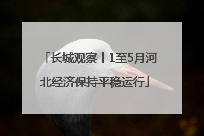 长城观察丨1至5月河北经济保持平稳运行