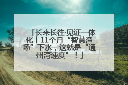 长来长往·见证一体化丨11个月“智慧渔场”下水，这就是“通州湾速度”！