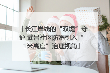 长江岸线的“双堤”守护 武昌社区防溺引入“1米高度”治理视角