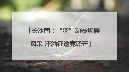 长沙南：“羽”动赛场展风采 汗洒征途竞锋芒