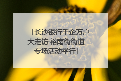 长沙银行千企万户大走访·裕南街街道专场活动举行
