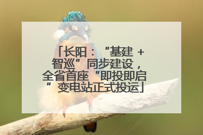长阳：“基建 + 智巡”同步建设，全省首座“即投即启”变电站正式投运