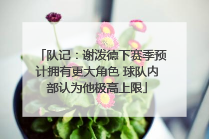 队记：谢泼德下赛季预计拥有更大角色 球队内部认为他极高上限