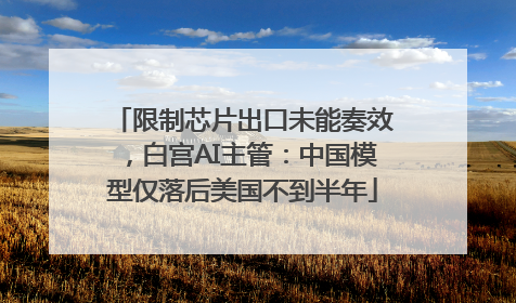 限制芯片出口未能奏效，白宫AI主管：中国模型仅落后美国不到半年