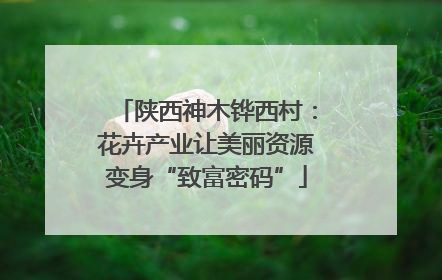 陕西神木铧西村：花卉产业让美丽资源变身“致富密码”