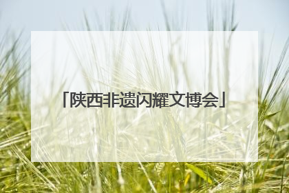 陕西非遗闪耀文博会