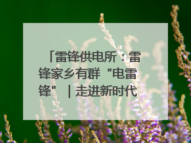雷锋供电所：雷锋家乡有群“电雷锋”｜走进新时代“雷锋传人 长沙榜样”