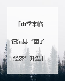 雨季来临 镇沅县“菌子经济”升温