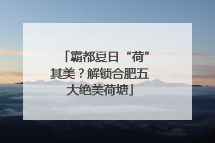 霸都夏日“荷”其美？解锁合肥五大绝美荷塘