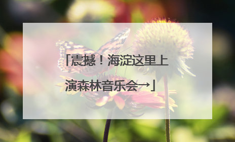 震撼！海淀这里上演森林音乐会→