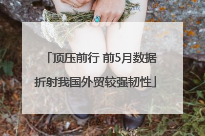 顶压前行 前5月数据折射我国外贸较强韧性