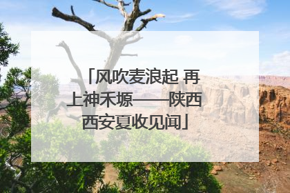 风吹麦浪起 再上神禾塬——陕西西安夏收见闻