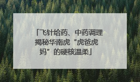 飞针给药、中药调理 揭秘华南虎“虎爸虎妈”的硬核温柔