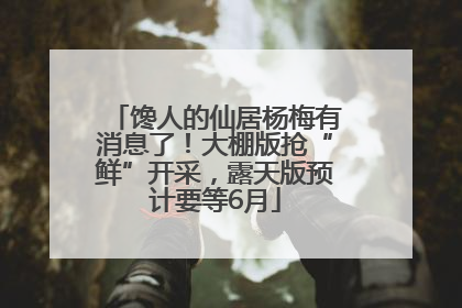 馋人的仙居杨梅有消息了！大棚版抢“鲜”开采，露天版预计要等6月