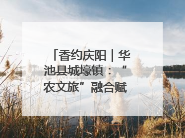 香约庆阳｜华池县城壕镇：“农文旅”融合赋能乡村振兴