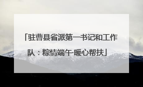 驻曹县省派第一书记和工作队：粽情端午·暖心帮扶