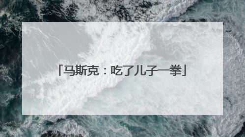 马斯克：吃了儿子一拳