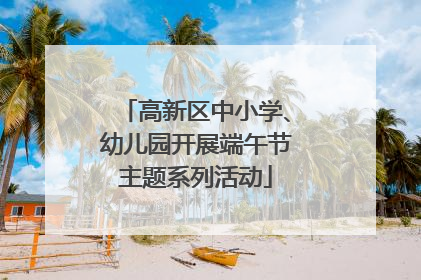 高新区中小学、幼儿园开展端午节主题系列活动