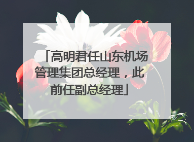 高明君任山东机场管理集团总经理，此前任副总经理