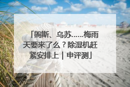 齁斯、乌苏……梅雨天要来了么？除湿机赶紧安排上｜申评测