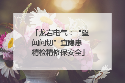龙岩电气：“望闻问切”查隐患 精检精修保安全