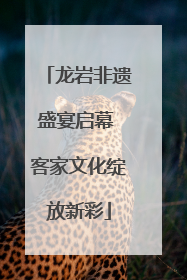 龙岩非遗盛宴启幕 客家文化绽放新彩