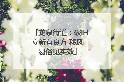 龙泉街道：破旧立新有良方 移风易俗见实效